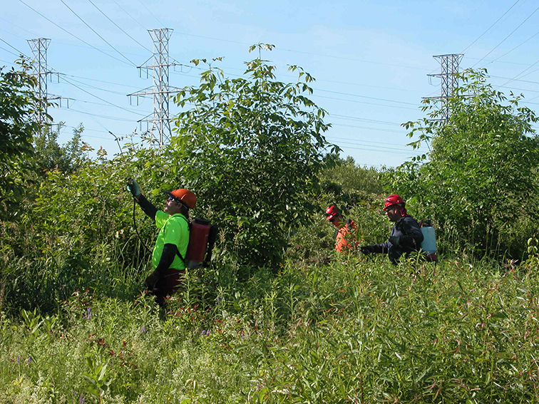 Low-volume Foliar